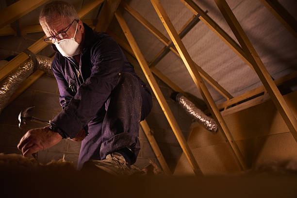 Trusted Slidell, LA Insulation Contractor Experts